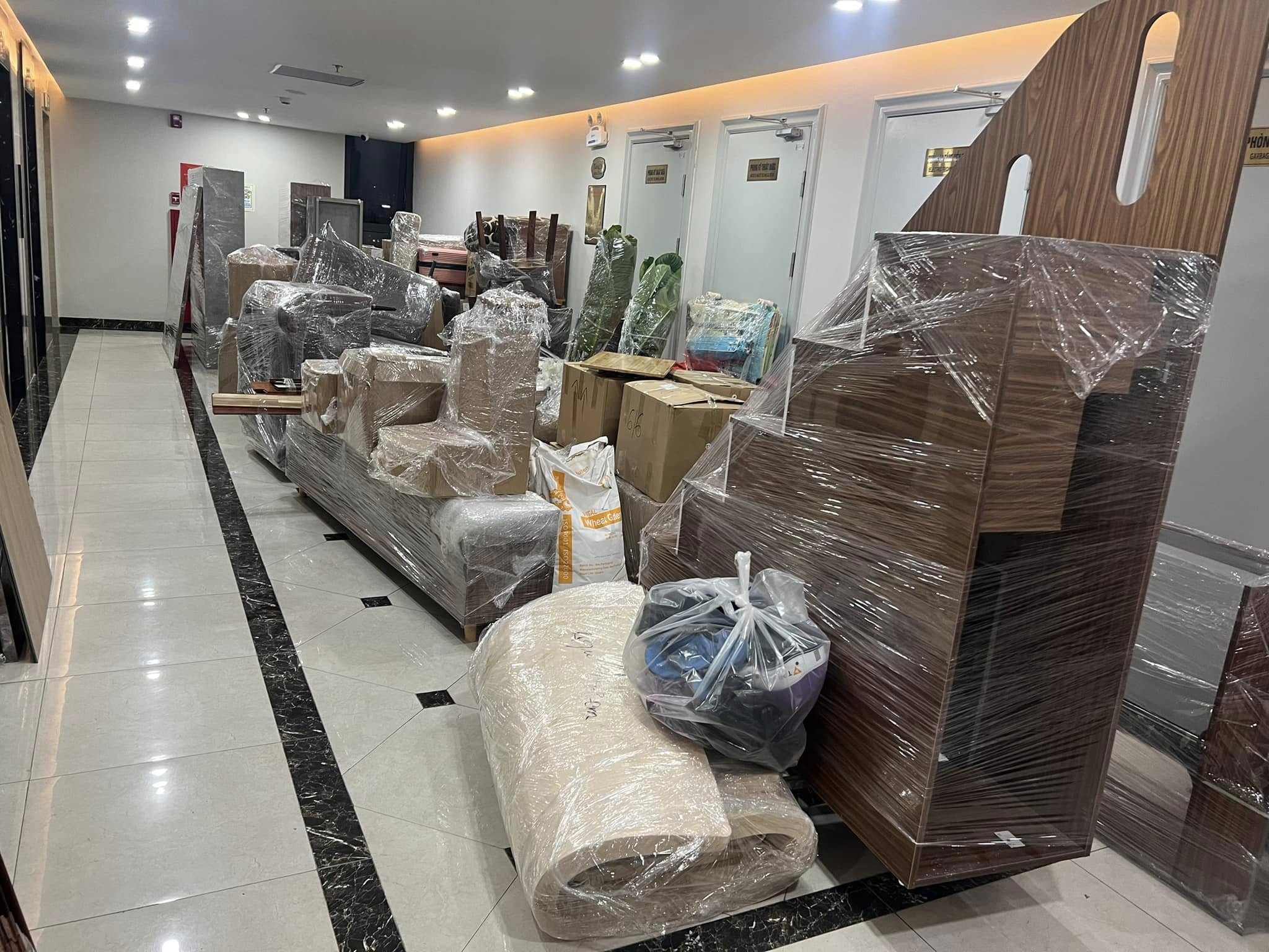 Giới thiệu về chuyển nhà Kiến Vàng